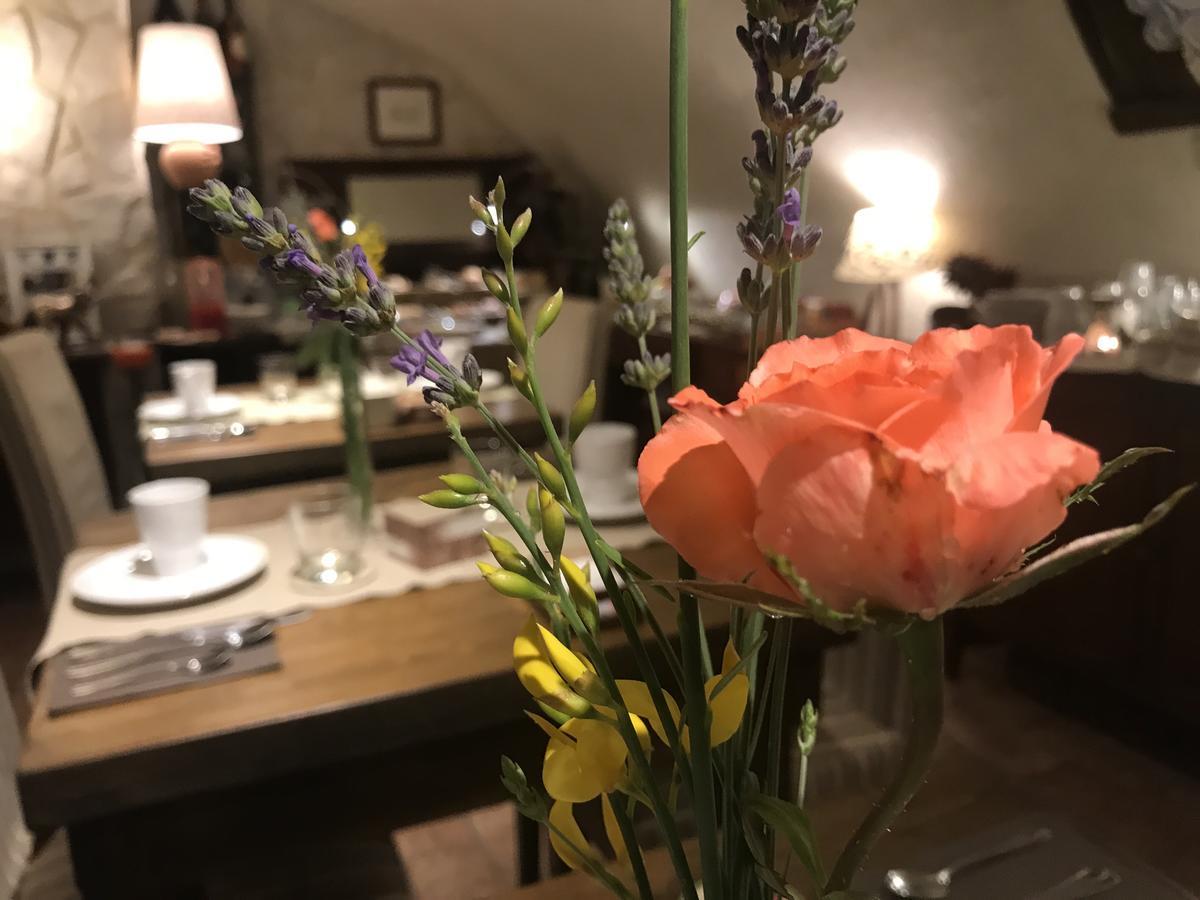 B&B Il Grottino Di 阿塞尔吉 外观 照片